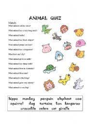Animal quiz questions and answers 2020. Animal Quiz Worksheet By Carriebradshaw Animal Quiz Quiz Worksheets