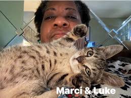 Beautiful momma Quainte has been in the care of PCON since March of 2023  when she arrived just in time to give birth to 6 kittens at Janice Moffatt's  foster home. Friendly