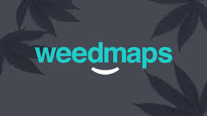 Weedmaps Careers Cannabis Jobs In Tech