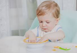 17 Months Old Baby Food Ideas Along With Recipes