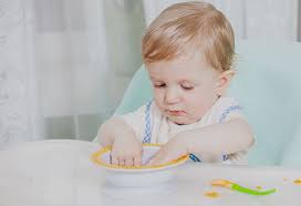 17 months old baby food ideas along with recipes