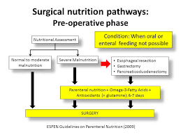 Nutrition Care Plan For Surgical Patients Ppt Video Online