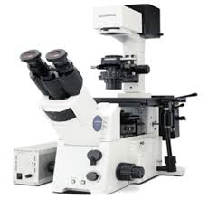 Search inverted microscope on shop411. An Animal Cell Culture Advance Technology For Modern Research