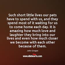 Marley taught me about living each day with unbridled exuberance and joy, about seizing the moment and following your heart. John Grogan Quotes Idlehearts