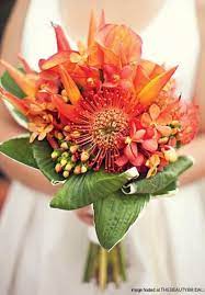 What is better than sending a flowers bouquets and chocolates. Bird Of Paradise Wedding Flowers Arabia Weddings