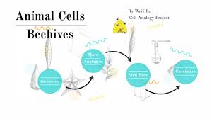 Check spelling or type a new query. Cell Analogy Project By Weili Lu