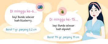 Check spelling or type a new query. 30 Nama Bayi Perempuan Beragam Makna Untuk Calon Buah Hati Bunda