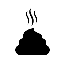 Image result for dark black stool human poop