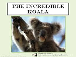 Incredible Koala Nonfiction Passages And Comprehension Questions No Prep Educational Resources Teaching Materials Education