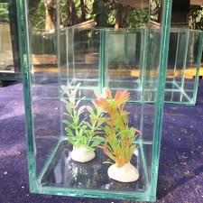 Aquarium Mini Aquarium Kecil Paket Aquarium Mini Paket Aquarium Kecil Soliter Ikan Cupang Shopee Indonesia