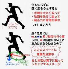 シャチ on twitter ティーチング 教訓 幸せになる方法