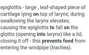 Which Part Prevents Arrests The Entry Offood Into Respiratory System Where Is Itlocated Brainly In