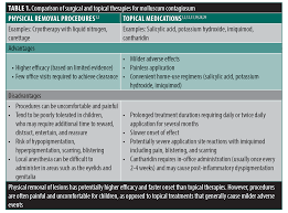 Image result for Berdazimer