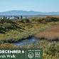 Sears Point Marsh Walk 12-6-25 event image