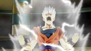 While training with piccolo, after losing his previous outfit from transforming into a great ape, he wears an outfit similar to goku's original, consisting of an orange gi and black belt with a black undershirt, blue wristbands, and black boots with yellow lasing.in the anime, his uniform is the same as piccolo's consisting of a purple gi with a red sash and armbands, bronze. Gohan Blanco Zebunker Wiki Fandom