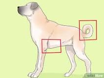Image result
