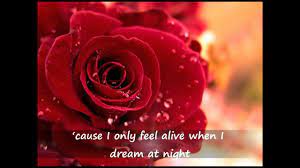 Marc Anthony When I Dream At Night Lyrics Rose Pictures Hd Cute Wallpapers Rose