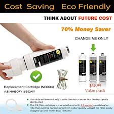 frizzlife under sink water filter