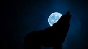 Brown and black wolf digital wallpaper, artwork, planet, space. Dark Wallpapers Full Hd Hdtv Fhd 1080p Desktop Backgrounds Hd Pictures And Images
