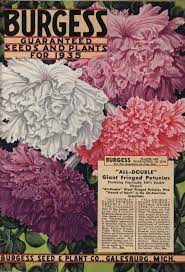 Burgess Guaranteed Seeds And Plants For 1935 Burgess Seed Plant Co Free Download Borrow And Streaming Internet Archive Vintage Seed Packets Seeds Seed Packaging