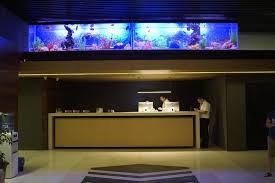 The spa in dolphin square offers authentic moroccan hammam, rhassoul, and salt infused steam room experiences. Sea View Beluga Dolphin Luxury Hotel Apartments Batumi Geo Best Price Guarantee Lastminute Com Au