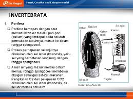 Urutan jalannya udara pernapasan dari luar ke dalam tubuh yang benar adalah …. Sistem Pernapasan Pertemuan 9 Harlinda Syofyan S Si