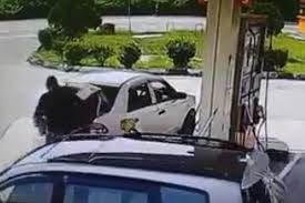 Coba kamu bayangkan, bisakah kita hidup tanpa smartphone? Selepas Isi Minyak Rm30 Siram Empat Tayar Kereta Bro Ni Dapat Percuma Penyiram Viral Mstar