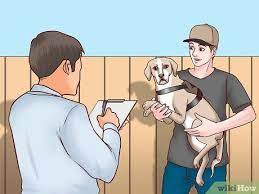 No criminal interference provision, but under civil rights laws: 3 Ways To Register Your Dog As A Service Dog Wikihow