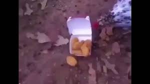 Most medium hamburgers eaten in one minute. Cannibal Chickens Eating Mcnuggets Youtube