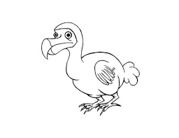 Learn how to draw a cute dodo bird from roblox adopt me pet easy, step by step drawing lesson tutorial tutorials on everything ★you can learn how to color with markers, color pencils and much more. Dodo Coloring Pages Kidsuki