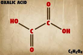 A List Of 112 Foods High In Oxalate Oxalic Acid