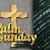Palm sunday celebrates the day christian's believe that jesus rode into jerusalem on the back of a donkey, and was hailed by the people with palm leaves. Https Encrypted Tbn0 Gstatic Com Images Q Tbn And9gcsc7rbtcagfih1r Kufmmashl7bsr8ps6mhpq7llw Hcjjh1x L Usqp Cau