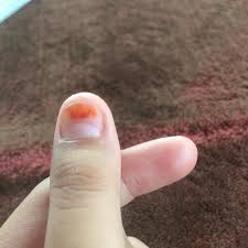 Jika diterjemahkan secara harfiah, kalimat ini diartikan sebagai 'aku cinta kamu'. Tolong Jawab Apa Arti Nya Brainly Co Id
