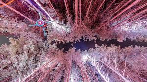 Thirty stunning and inspirational wallpapers to download to your computer for free. Electric Forest Wallpapers Electric Forest