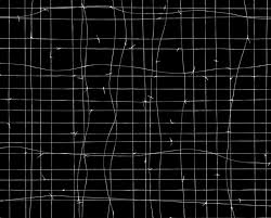 How to download & install don't starve together · click the download button below and you should be redirected to uploadhaven. Tenesh Webber Unlock Abstract Photography 2021 Available For Sale Artsy