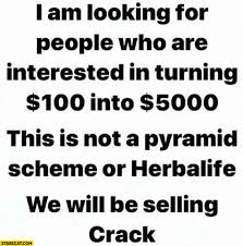 Looking For People Interested In Turning 100 Dollars Into 5000 Not A Pyramid Scheme Or Herbalife We Will Be Selling Crack Starecat Com