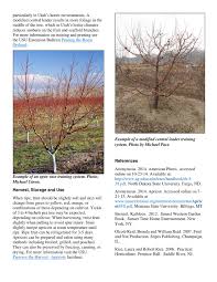 All the scaffold branches, however, grow. Apricots In The Home Garden By Utah State University Extension Issuu