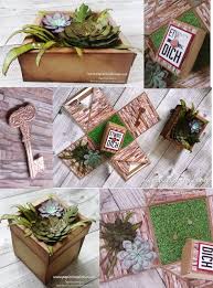 Sukkulenten Explosions Box Box Sukkulenten Explosionsboxen