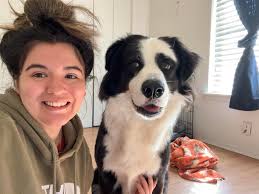 Transitioning to adult dog food. What's the best food for pugs?