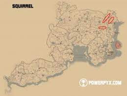 Skunk look rdr2 / red dead redemption 2 badger location guide and maps polygon. Red Dead Redemption 2 All Hunting Request Locations