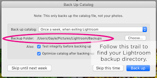 Lightroom's catalog backups are merely a copy of the currently open.lrcat catalog file. The Lightroom Catalog Everything You Need To Know Pretty Presets For Lightroom
