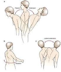 Image result for Low Back Exam