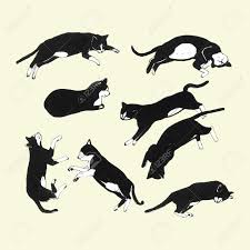 If there is something cats love more than anything else, it's sleeping. Hand Drawn Cats Sleeping In Different Poses Vector Illustration Cat Vector Sleeping Drawing Cat Sleeping