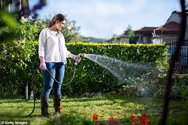 Efficient use of this important natural resource will keep water bills lower. Are You Worried Your Lawn Can T Stand The Heat Letting It Go Brown Won T Harm It A Bit Says Expert Daily Mail Online