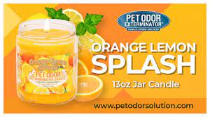 I first experienced them at a vet's office where one was constantly burning. Make A Splash With The Orange Lemon Splash 13oz Jar Candle From Specialty Pet Products Youtube