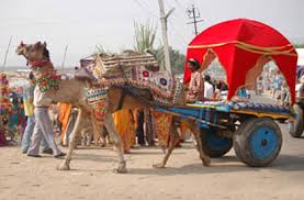 Pushkar camel safari provides sunset/sunrise camel safari in pushkar, jeep safari in pushkar, horse safari in pushkar,overnight camel safari, pushkar fair camp, luxury camp in pushkar , dinner in desert with kalbaliya dance at very reasonable rate with the experience and professional. Adventure In Pushkar Adventure Tours In Pushkar Of 2021 Pushkar Adventure Desert Camp