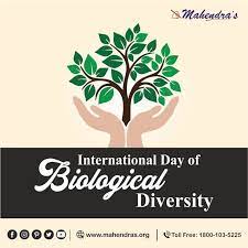 The international day for biological diversity 2021 theme is we're part of the solution #fornature. The International Day Of Biological Diversity Or World Biodiversity Day Is A United Nations Sanctioned International Day Biodiversity International Day Day