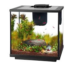 Like sponge filters, under gravel filters are powered by a water pump. Best Filters For Betta Large And Small 2021 Reviews