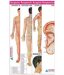 Acupuncture Points Charts Set Of 4
