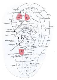 Auricular Acupuncture Therapy For Premenstrual Syndrome Pms